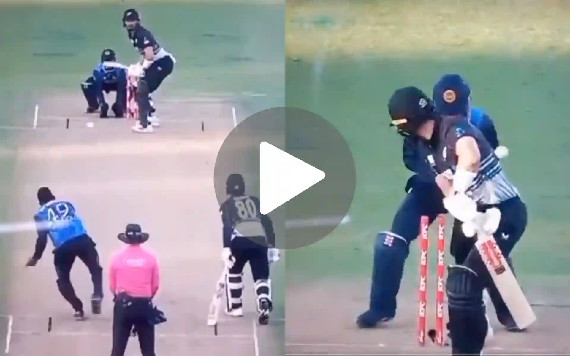 [Watch] Delight For Samson's RR As Hasaranga Rattles NZ Batter With A Ripper